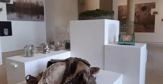 photo  benoit arridiaux expose, à « saison photographique 2024 », des images et objets racontant la vie de ceux qui vécurent dans sa ferme avant lui.  &copy;  ouest-france 