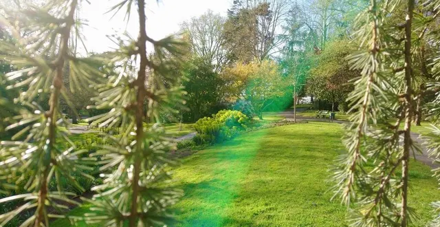 photo  les espaces verts de l’agglomération (comme ici, le jardin des plantes à angers) pourraient, en cas de stress hydrique, être irrigués par les eaux usées, après leur traitement dans la station d’épuration de la baumette.  &copy;  ouest-france 