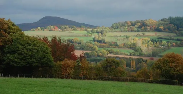 photo  un concours d’agroforesterie est ouvert aux agriculteurs de la zone du sarthon et de ses affluents.  &copy;  archives ouest-france 