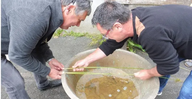 photo  jean-paul et fabrice ont fait « brinder la poêle ».  &copy;  co 