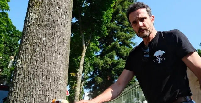 photo  l’activiste écolo thomas brail, figure de la lutte contre le projet de l’autoroute a69, s’est rendu au mans (sarthe) ce mercredi 26 juin 2024 pour soutenir l’opposition à l’abattage des 200 arbres avenue bollée.  &copy;  ouest-france 