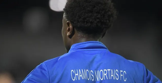 photo  pour les chamois niortais, l’avenir est encore loin d’être éclairci.  &copy;  co - marie delage 