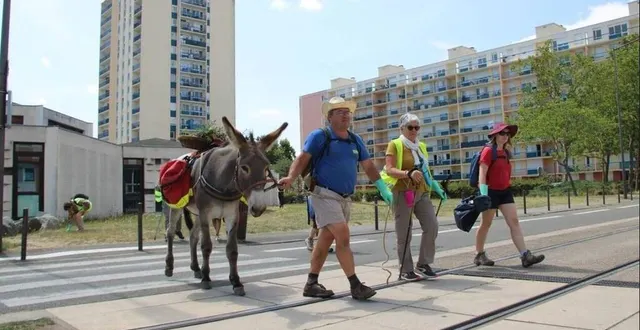 photo  en 2023, une dizaine de catholiques en « marche pèlerinage pour l’écologie », avaient traversé la sarthe pendant un mois accompagnés de l’ânesse image, comme ce jour-là, dans le quartier des sablons au mans.  &copy;  archives le maine libre 