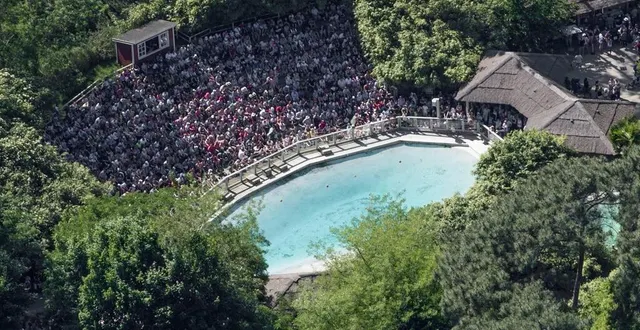 photo  le parc animalier de la flèche, premier site touristique à l’année dans le département.  &copy;  archives ouest france 