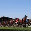photo  cette quatrième réunion de la saison sur l’hippodrome de sablé-sur-sarthe sera consacrée à 100 % au trot attelé avec en point d’orgue le trophée vert. 