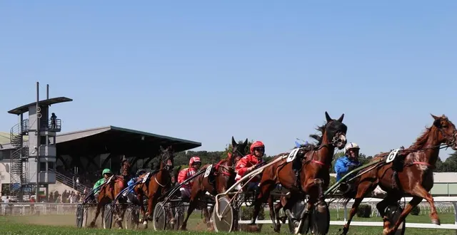 photo  cette quatrième réunion de la saison sur l’hippodrome de sablé-sur-sarthe sera consacrée à 100 % au trot attelé avec en point d’orgue le trophée vert.  &copy;  archives ouest-france 