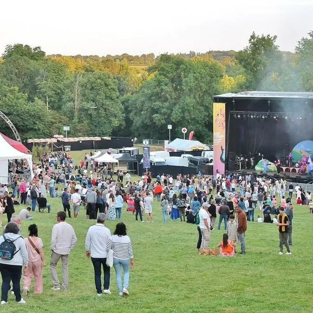 photo la prairie du château s’est progressivement remplie durant le concert d’ouverture de voyou, à partir de 21 h.  ©  ouest-france