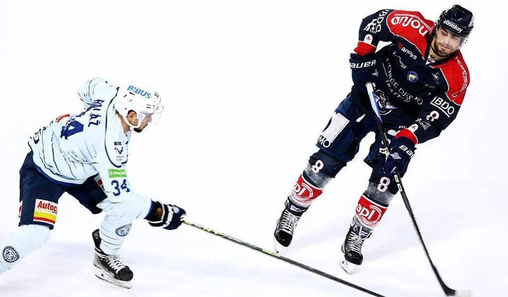 Hockey sur glace. Ligue Magnus. Les Ducs d’Angers complètent leur