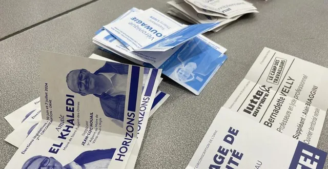 photo  dans la deuxième circonscription de l’orne, quatre des huit candidats ont obtenu mois de 1 % des suffrages lors du premier tour des législatives. gérard vienne (rn) et véronique louwagie sont qualifiés.  &copy;  ouest-france 