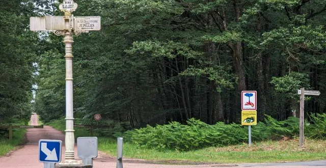 photo  quelques règles pour préserver notre forêt.  &copy;  ouest-france 