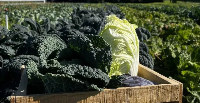 photo  aux portes du mans (sarthe), le chantier d’insertion les jardins de vaujoubert a remporté un concours organisé par le magasin fenouil biocoop.  &copy;  les jardins de vaujoubert 