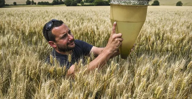 photo  matthieu lenoir, agriculteur à saint-vincent-du-lorouër, a enregistré une moyenne de 100 millimètres d’eau par mois depuis janvier 2024.  &copy;  photo le maine libre – denis lambert 