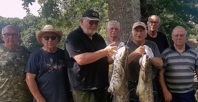 photo  deux beaux spécimens de silures pêchés à courtanvaux.  &copy;  ouest-france 