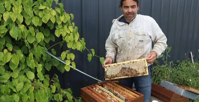 photo  arnaud guéret est à la tête d’un cheptel de 800 ruches d’abeilles ligériennes. il travaille avec quatre salariés.  &copy;  ouest-france 