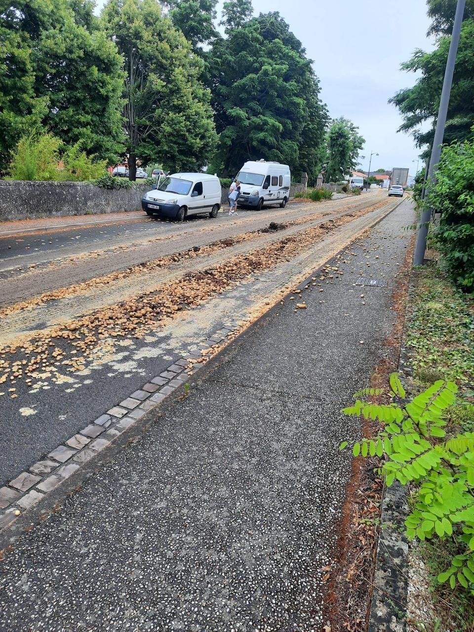 Des milliers de pommes de terre déversées dans les rues de cette ...