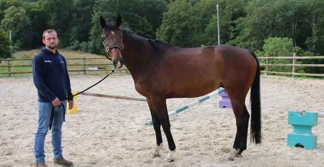 photo  robin créton enseigne l’équitation, mais propose également des balades touristiques dans son centre équestre à villeneuve-en-perseigne.  &copy;  ouest-france 