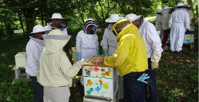 photo  les élèves apiculteurs de la 3e promotion de l’association beelinked sont passés à la pratique au rucher pédagogique avec les enseignements d’alain floquart (en jaune) et de patrice hérisson.  &copy;  ouest-france 