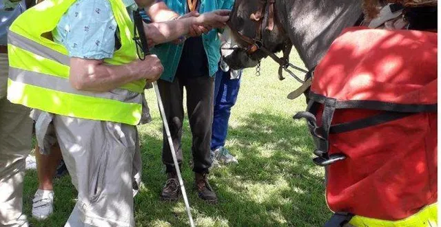photo  en 2023, la carav’âne avait suscité beaucoup d’intérêt. elle a repris son cheminement cet été.  &copy;  archives ouest-france 