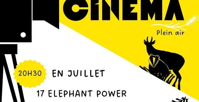 photo  les affiches des films diffusés en extérieur à argentan et à sap-en-auge.  &copy;  dr 