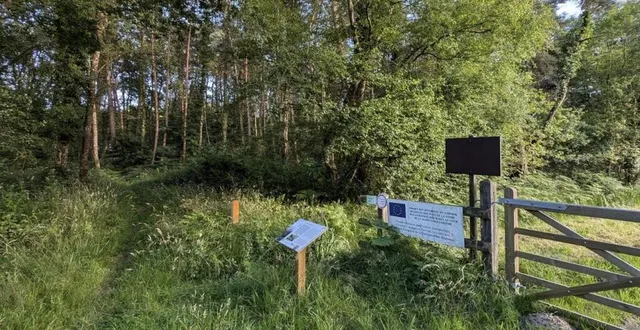 photo  cinq types d’espaces aux besoins d’entretiens différents ont été identifiés.  &copy;  ouest-france 