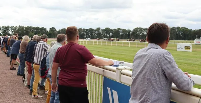 photo  les plus assidus suivent les trotteurs au bord du champ de courses.  &copy;  ouest-france 