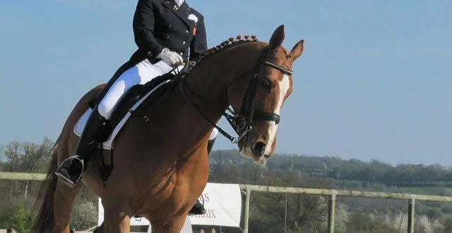 photo  du dressage sera notamment proposé au haras du pin, lors des 2 spectacles de l’été.  &copy;  archives ouest-france 