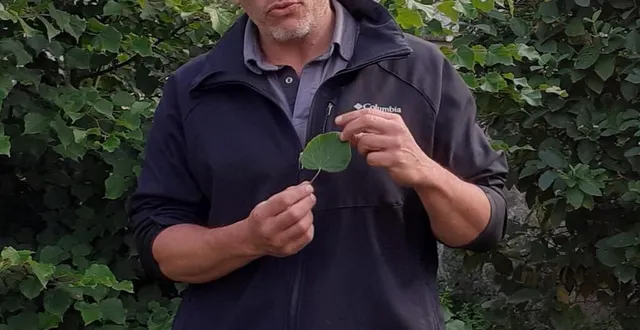 photo  ronan mellouet, jardinier au gasseau, est intarissable sur les bienfaits des plantes.  &copy;  ouest-france 