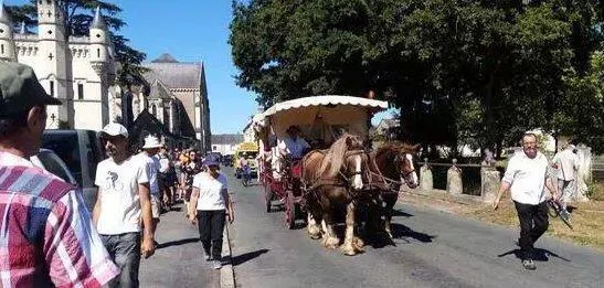photo  le cheval sera mis à l’honneur, samedi, dans le bourg.  &copy;  archives ouest-france 