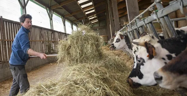 photo  ancien ingénieur, florian dereix, de la première promo d’alterfixe, s’est installé à la fresnaye-au-sauvage (orne) en exploitation laitière.  &copy;  mathieu pattier / ouest france 