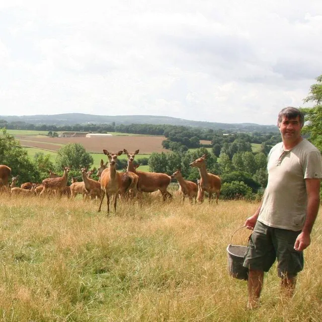 photo dominique vadé propose des safaris dans son élevage de cerfs à villaines-la-gonais.  ©  ambrine benyahia