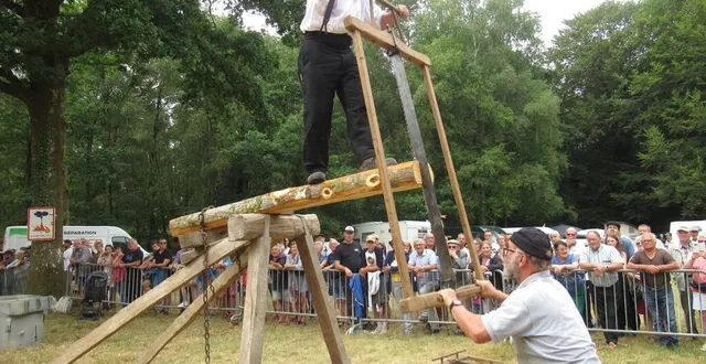 photo  durant la journée, les spectateurs pourront assister à la démonstration de sciage en long.  &copy;  ouest-france 