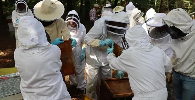 photo  ces passionnés se sont relayés pour extraire un à un chaque cadre de la ruche. avec un soin particulier pour ne pas trop perturber le lieu de vie des abeilles.  &copy;  ouest-france 