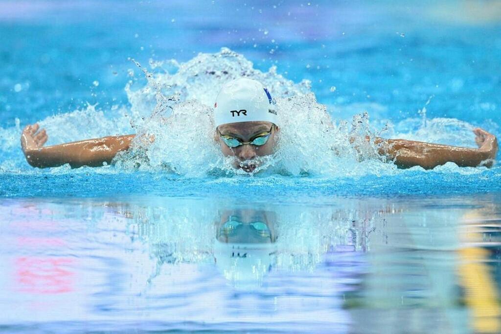 JO 2024 Natation. Le programme complet des épreuves . Sport Caen