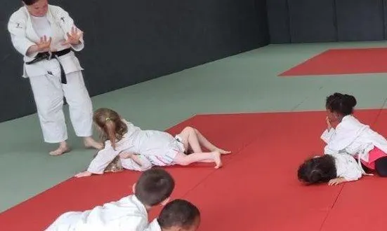 photo  sur les tatamis tout neufs du dojo, les enfants de 3 à 5 ans découvrent quelques exercices en lien avec le judo.  &copy;  ouest-france 