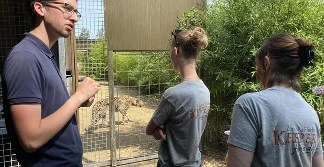 photo  fabio carmine, saisonnier au zoo de la flèche, encadre les visiteurs participant à l’activité « soigneur d’un jour ».  &copy;  ouest-france 