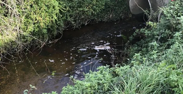 photo  le premier comité opérationnel de lutte contre la délinquance environnementale (colden) de la sarthe s’est réuni en mai 2024. (photo d’illustration)  &copy;  (archives ouest-france 