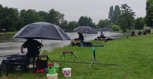 photo  l’aappma de la truite de l’aune a organisé, samedi, un concours de pêche aux poissons-chats au grand plan d’eau de la chesnaie de marigné-laillé. et ce sont une quinzaine de pêcheurs téméraires et courageux qui sont venus défier une pluie discontinue le matin. postés sous leurs parapluies dès 9 h le matin, ce sont 29 kg de cette espèce invasive qui ont été prélevés.  &copy;  ouest-france 
