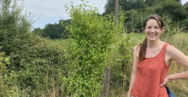 photo  marine ricaud à proximité d’une haie protégeant son exploitation en petits fruits. son essence préférée ? le sureau.  &copy;  ouest-france 