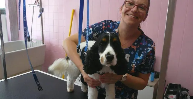 photo  depuis trois ans, reinette, jolie cocker, est une fidèle cliente du salon de christine martin, les pattounes propres.   &copy;  le maine libre 