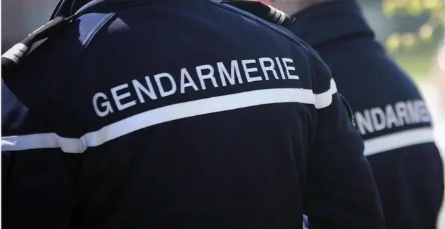 photo  ce jeudi 1er août 2024, un homme a été interpellé par la gendarmerie après avoir arnaqué des commerçants avec des faux billets.  &copy;  photo : gendarmerie nationale 