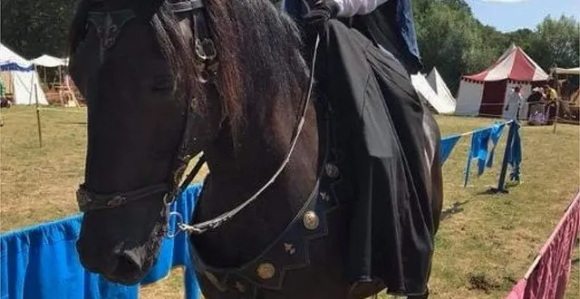 photo  christine faure, 58 ans, est passionnée de joute équestre depuis près de 20 ans  &copy;  faure 