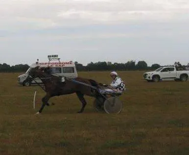 photo  sept courses de trot ont lieu à l’hippodrome de la fontaine, dimanche.  &copy;  ouest-france 