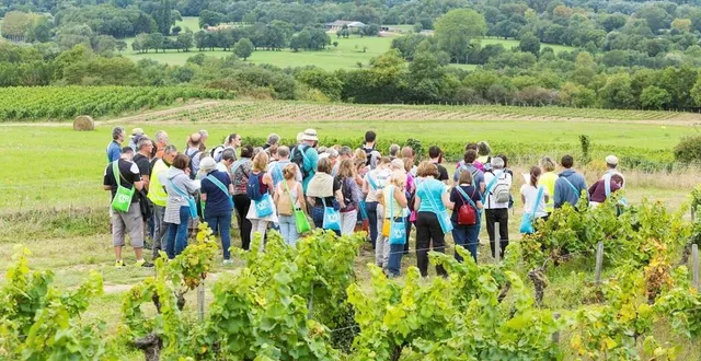 photo  avec les beaux jours qui se sont installés, les nombreuses activités en plein air organisées sont le meilleur moyen de profiter de l’été.  &copy;  archives ouest-france 