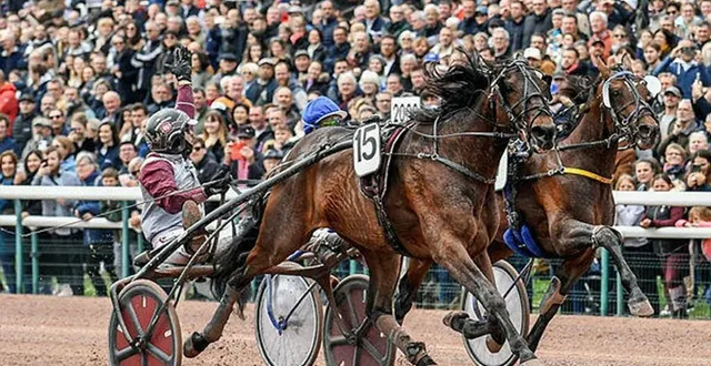 photo  le trotteur hohneck (ici à caen, en 2023) sera l’un des favoris du critérium de vitesse.  &copy;  archives martin roche 