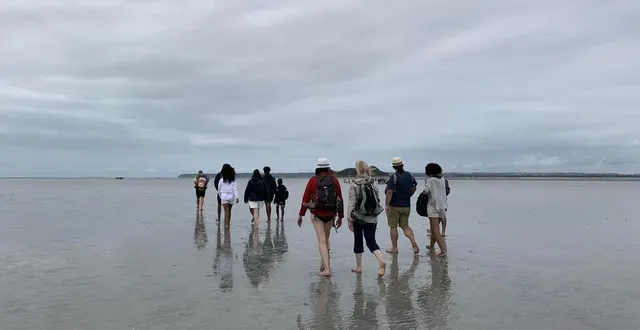 photo  pendant les traversées de la baie du mont saint-michel, les guides expliquent les caractéristiques de la baie du mont, une zone naturelle sensible qui regorge de trésors et d’histoire.  &copy;  ouest-france 