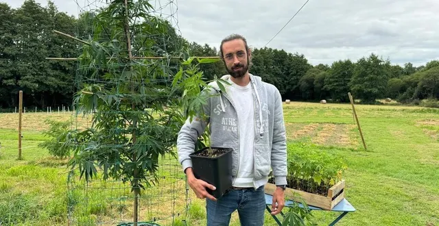 photo  edwin lanlo mène deux projets de front à écouché-les-vallées : le développement de la verte main et la naissance de la french farm.  &copy;  la verte main 