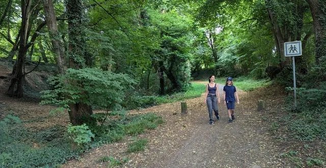 photo  le mans, lundi 8 juillet. voici la fameuse pente qui permet aux cyclistes et promeneurs de traverser la parcelle boisée.  &copy;  le maine libre 