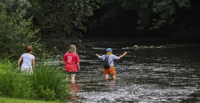 photo  neuville-sur-sarthe, mercredi 7 août 2024. près du vieux-moulin, la baignade est interdite, comme sur le reste de la rivière sarthe.  &copy;  le maine libre – denis lambert 