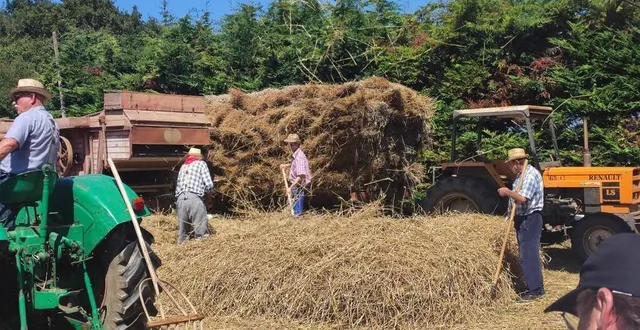 photo  dimanche 11 août, les participants ont eu très chaud en constituant le pailler.  &copy;  ouest-france 