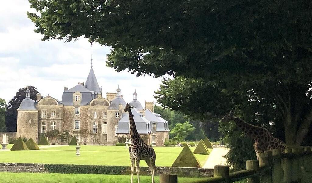 La 9e édition des Rencontres des intelligences animales au château de ...